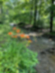 IMG-1686.jpg