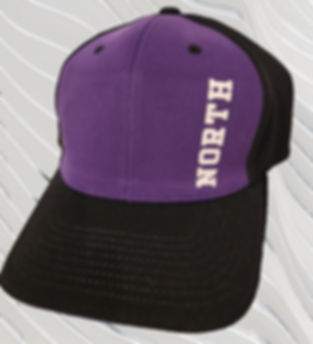 North Fitted Baseball Cap