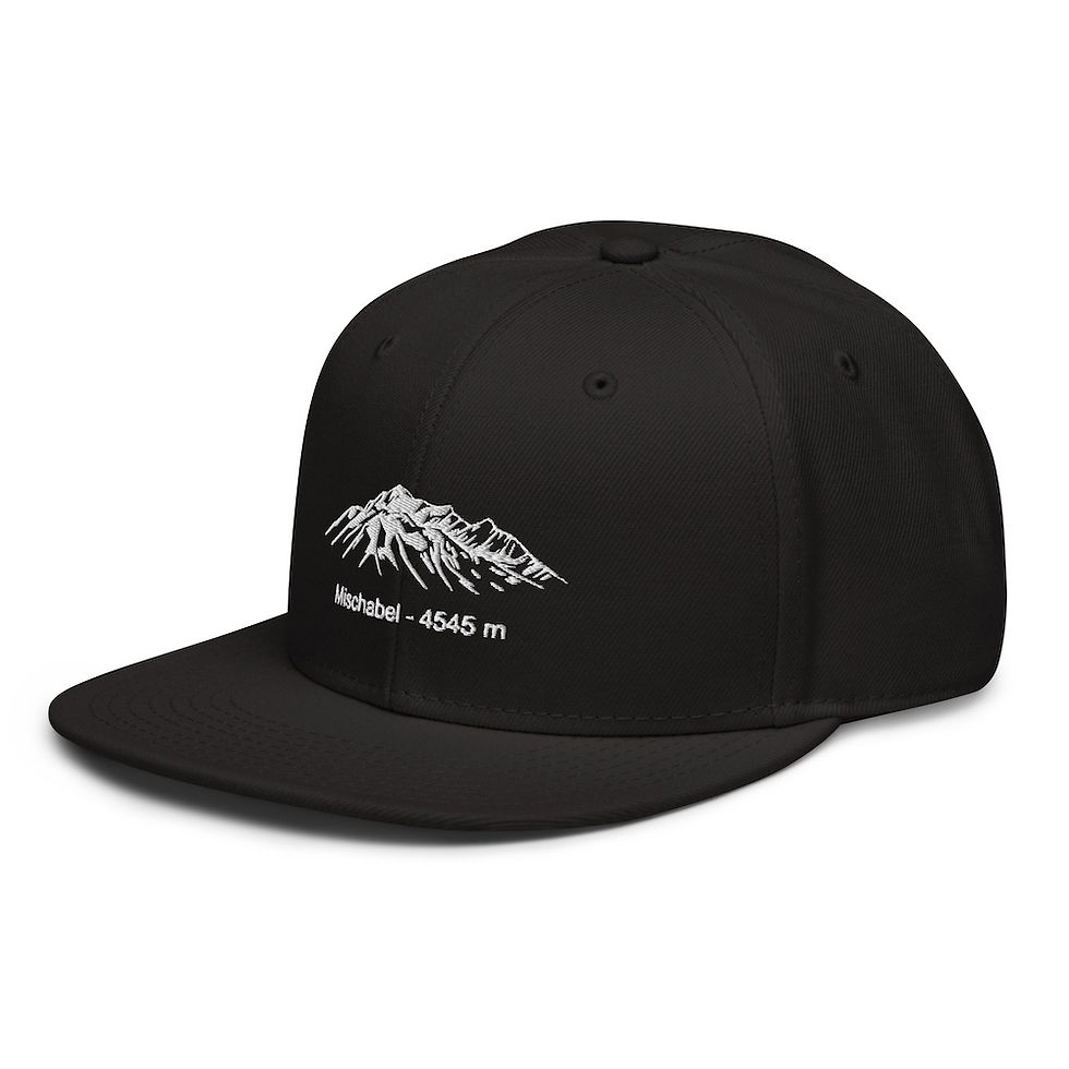 Miniaturbild: Flachdach Cap | Mischabel Berg Wallis in grau bestickt | Unisex