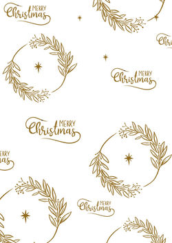 WhatsApp Image 2025-12-22 at 1.28.52 PM (1)