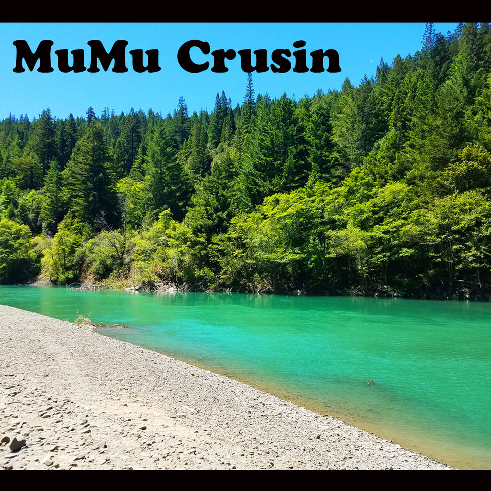 the eel river in the Avenue of the Giants