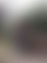 A True Success Story