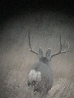 7F0F3A7C-891A-41AB-A860-7FF7CD49E06E