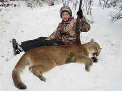 Flying J Mountain Lion