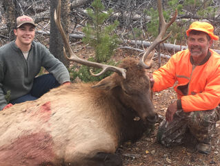 1st day first season Bull on the RMR!!!