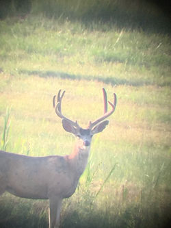 5A0EF84C-A609-4A82-B41E-F72BCA6BDE37