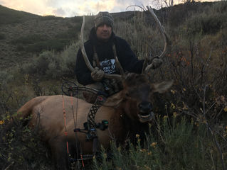 Combat Marine Outdoors 1st Sargent Ryan Leighton connect on a Colorado Archery Bull
