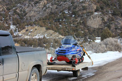 Flying J Mountain Lion