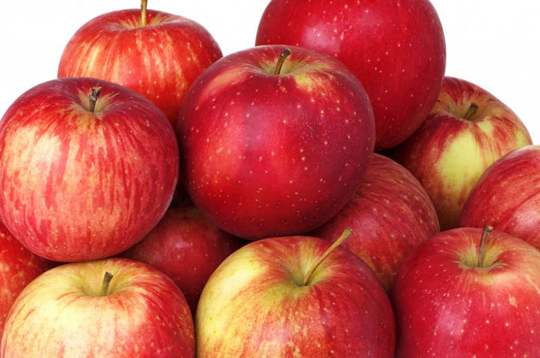 Haralson apples 3 lb bag