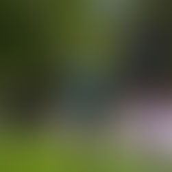 Second ironmans require more accountability