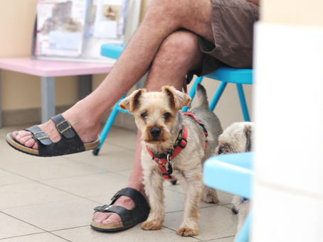 Offline marketing - the missing piece of the puzzle?