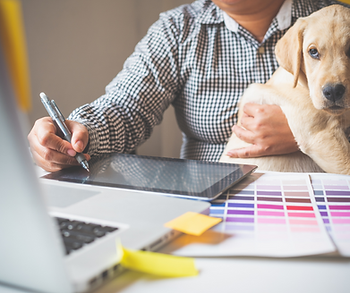 Professional help for your pet owner facing social media