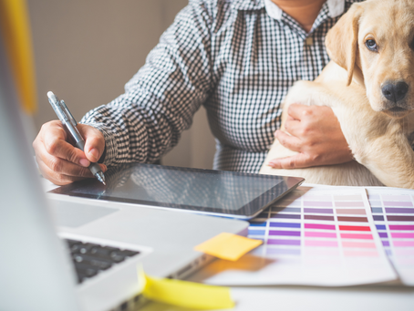 How to hire the 'right' person to run your social media
