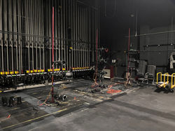 Hanging lights on trees