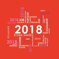 Résultat de recherche d'images pour "voeux 2018"