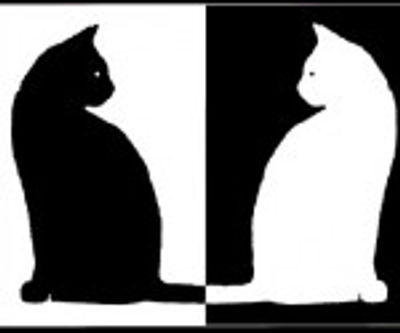 blanc et noir