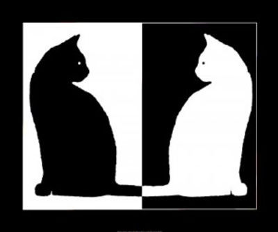 blanc et noir