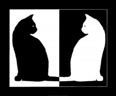 blanc et noir
