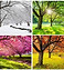 Seasons-of-the-Year.jpg