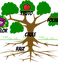 tree-309046_1280 (1).png