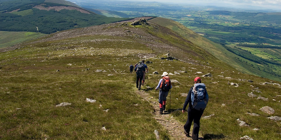 Carlow Summer Walking Festival 2022