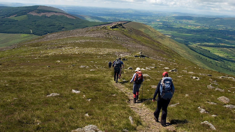 Carlow Summer Walking Festival 2022
