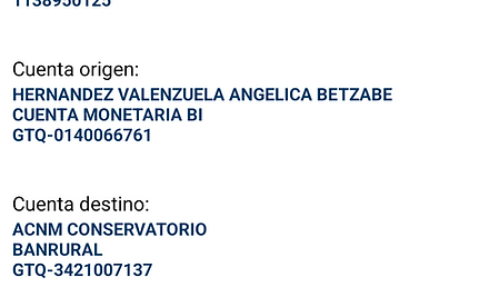 Ejemplo Boleta.jpg