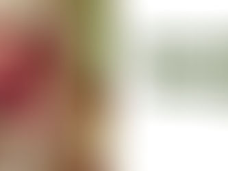 Atebetü’l Hakayık - Yüknekli Edib Ahmed