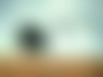 Yedi Güzel Adama Dair