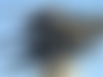 Manas Destanı ve Edebiyatımızdaki Yeri