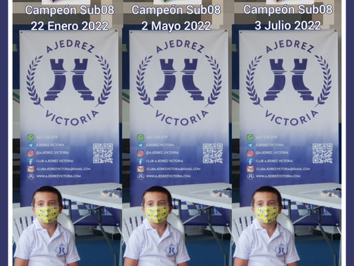 Ajedrecista de Rincón de la Victoria que vale x 3.