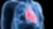 What is Pulmonary Arterial Hypertension?
