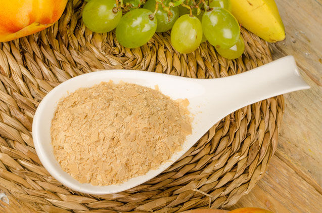 Brewer's Yeast