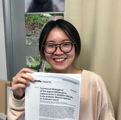 スラウェシマカクの毛色遺伝子進化