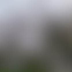 3年目の春です。