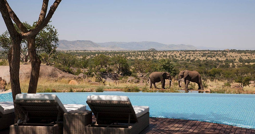 four-seasons-safari-lodge-serengeti.jpg