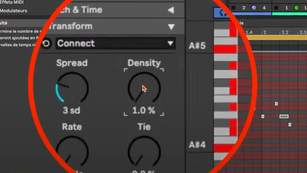 Les outils de variations de Live 12 : Transform tool, Modulations, Pitch and Time…