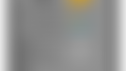 Réglage des Préférences de Live pour débutant