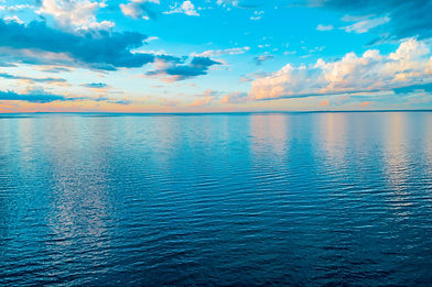 AdobeStock_234170425.jpeg