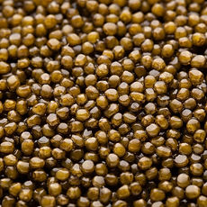 Sconset Reserve Oscietra caviar with golden brown pearls, balanced and silky texture, Caviar Nantucket selection