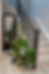 Architectural photography of a modern staircase with plants