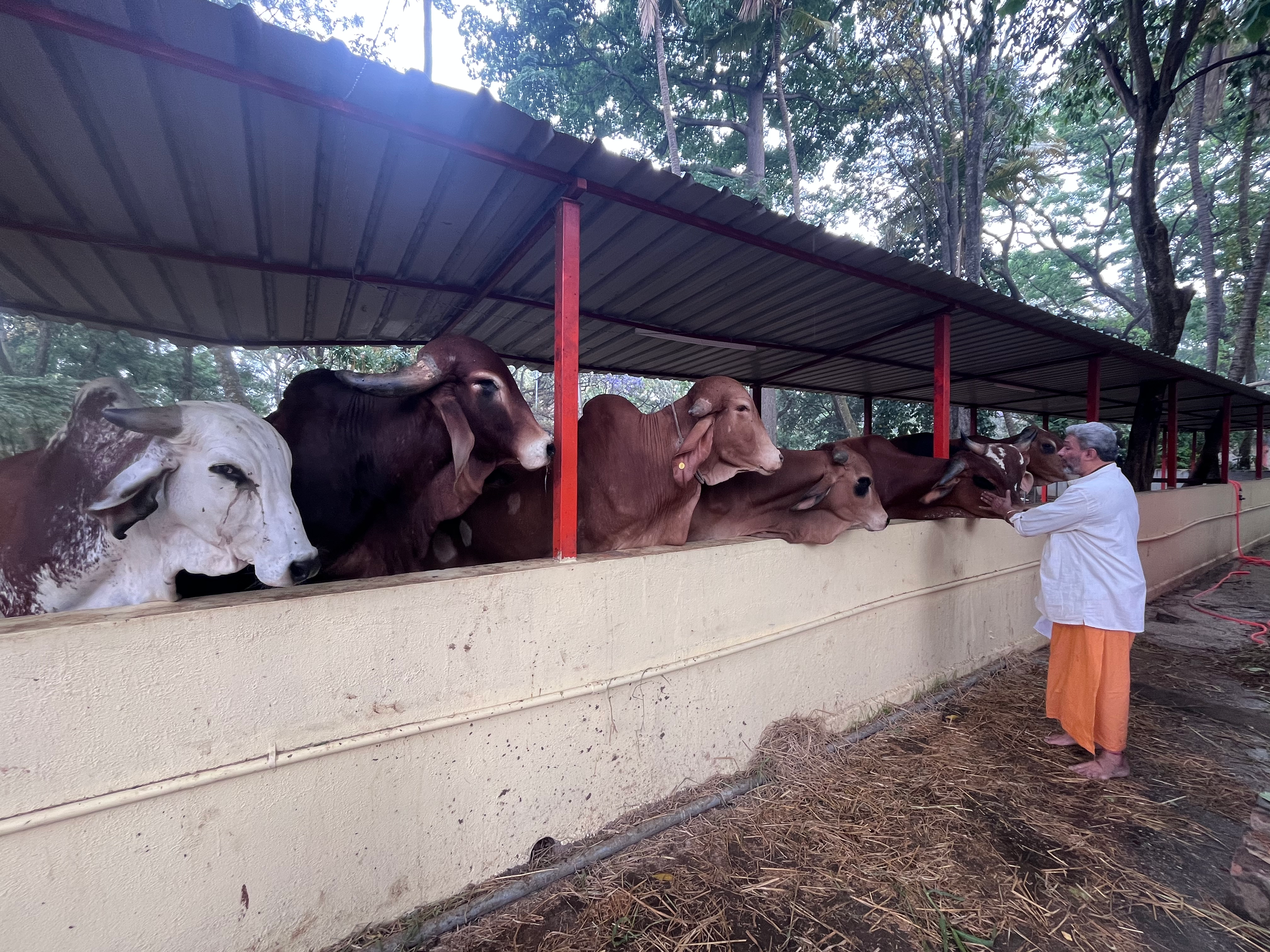 agastya-foundation.HEIC