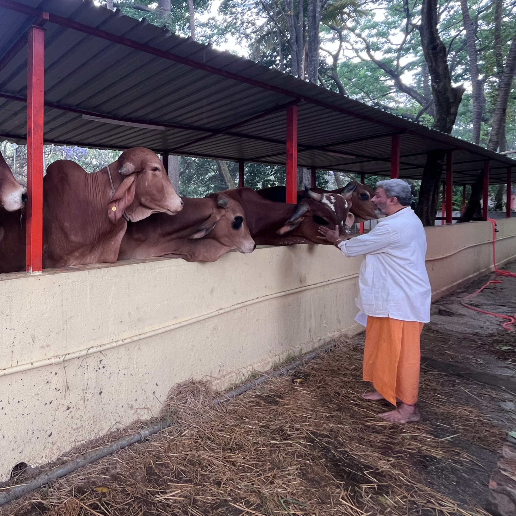 agastya-foundation_guruji.jpg