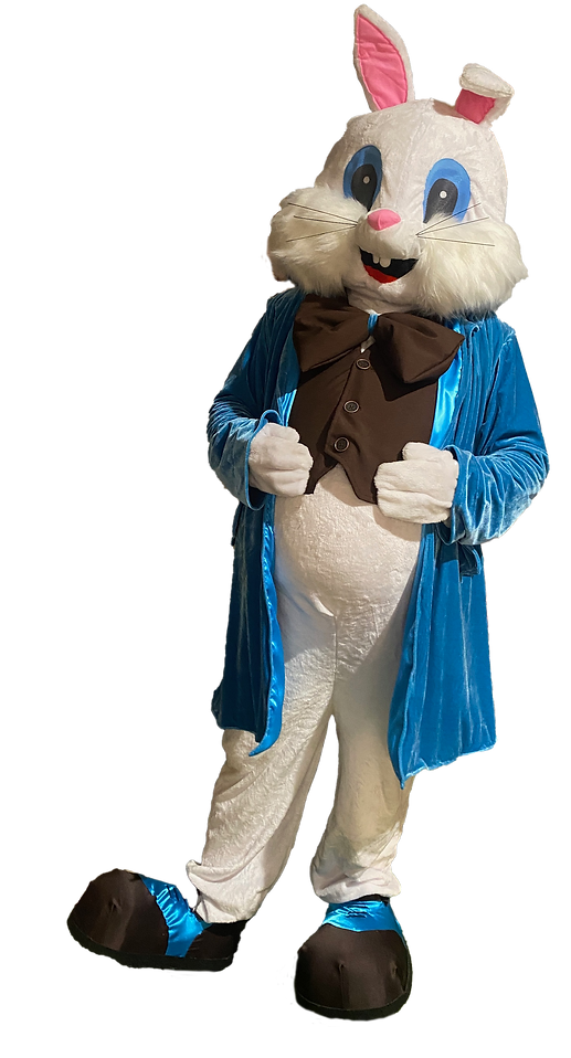 Bunny hero image.png