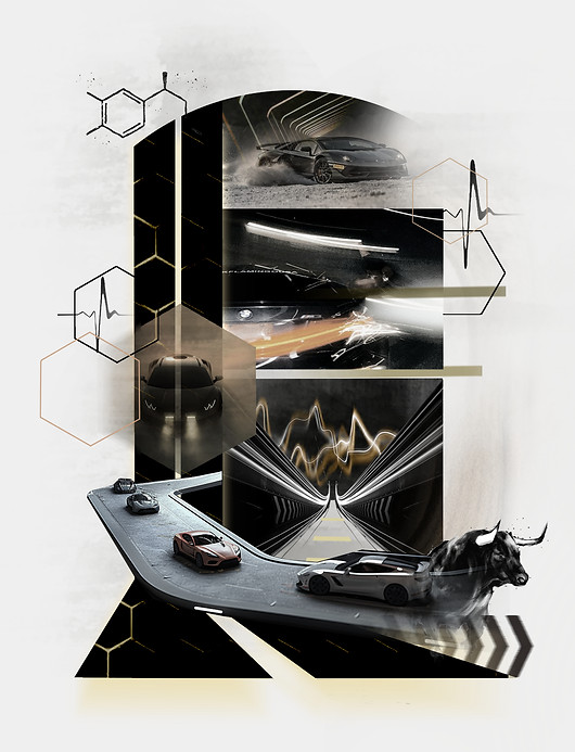 Moodboard Lamborghini _edited.jpg
