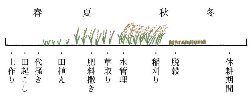 はちぼく年間スケジュール.jpg