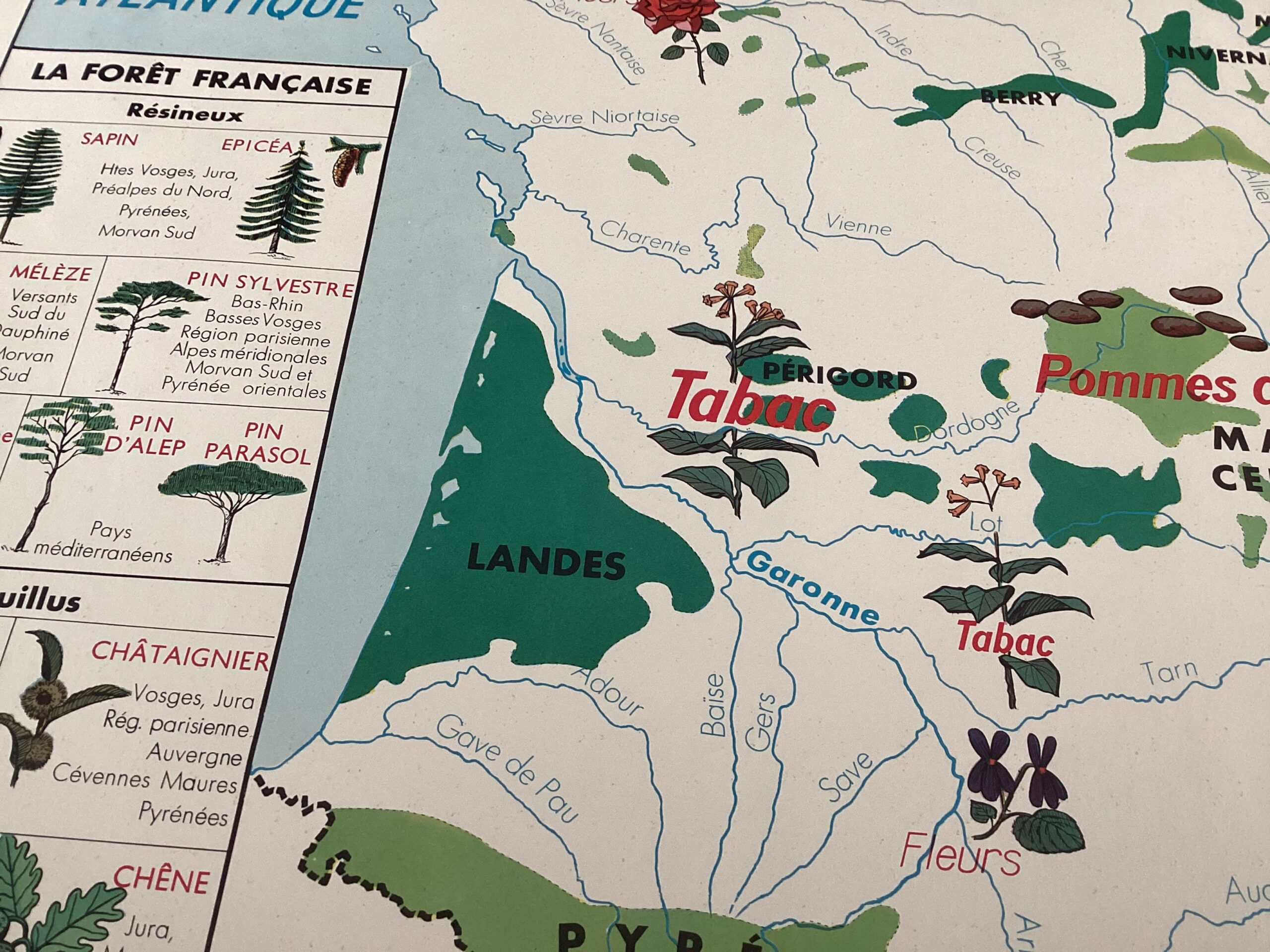 Affiche scolaire Cultures industrielles et forêts