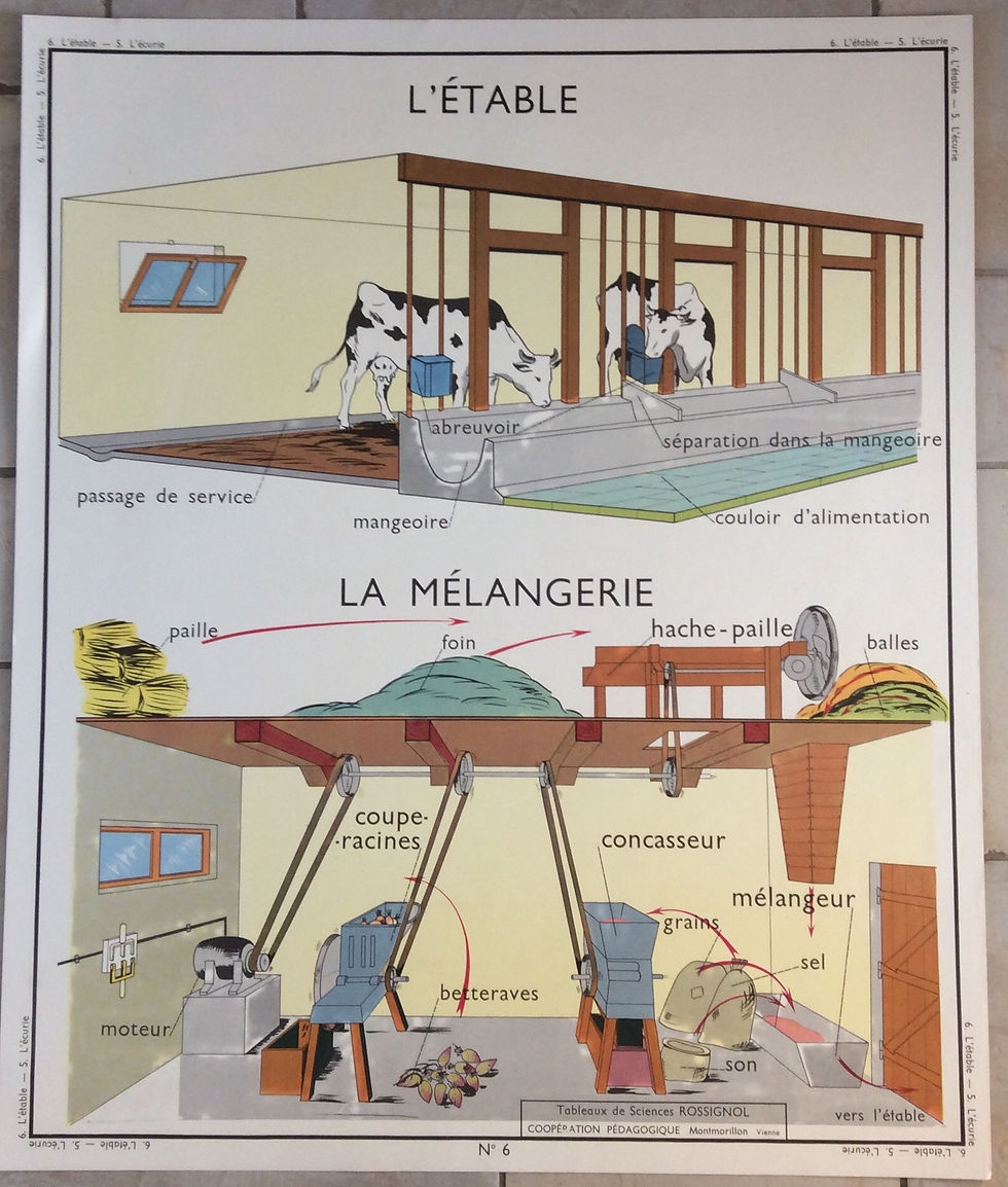 Affiche scolaire éducative l’étable la mélangerie