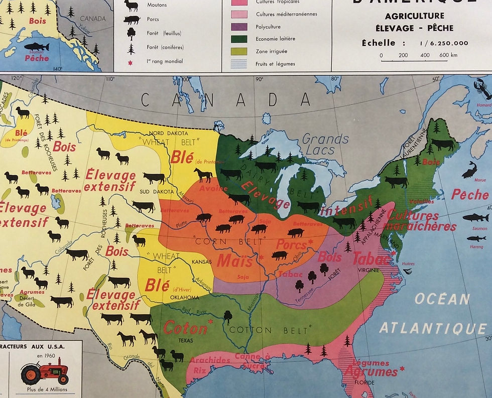 ÉTATS-UNIS / ILES BRITANNIQUES AGRICULTURE ÉLEVAGE PÊCHE