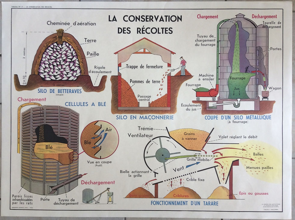 Miniature : Affiche scolaire la conservation des récoltes